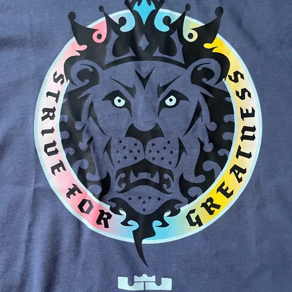 Nike Lebron Tee - Picture 2 of 6